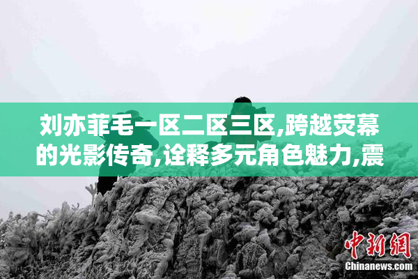 刘亦菲毛一区二区三区,跨越荧幕的光影传奇,诠释多元角色魅力,震撼