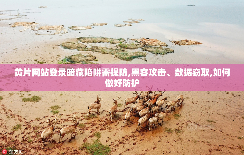 黄片网站登录暗藏陷阱需提防,黑客攻击、数据窃取,如何做好防护