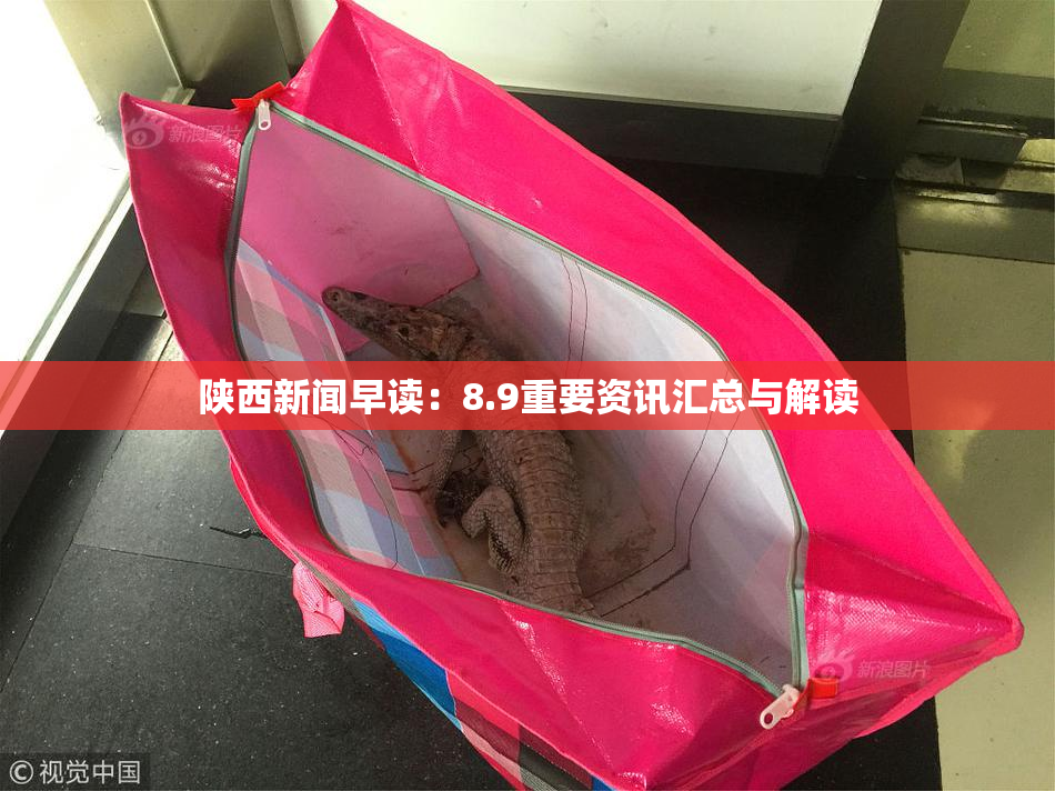 陕西新闻早读：8.9重要资讯汇总与解读