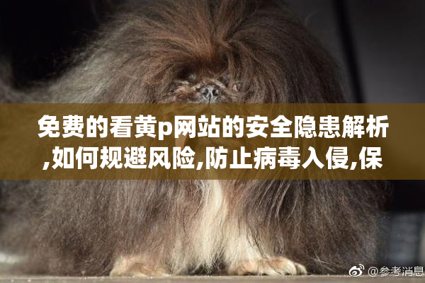 免费的看黄p网站的安全隐患解析,如何规避风险,防止病毒入侵,保障