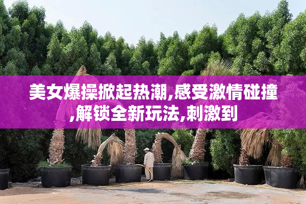 美女爆操掀起热潮,感受激情碰撞,解锁全新玩法,刺激到