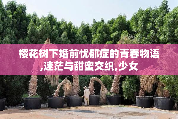 樱花树下婚前忧郁症的青春物语,迷茫与甜蜜交织,少女