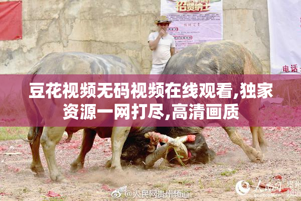 豆花视频无码视频在线观看,独家资源一网打尽,高清画质