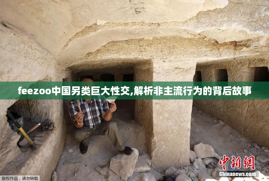 feezoo中国另类巨大性交,解析非主流行为的背后故事