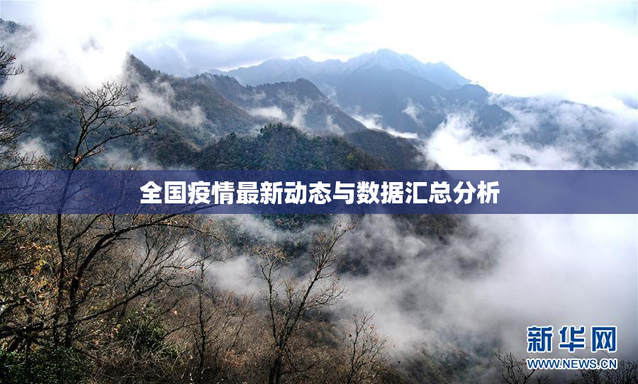 全国疫情最新动态与数据汇总分析