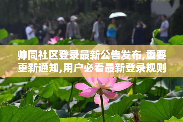 帅同社区登录最新公告发布,重要更新通知,用户必看最新登录规则与