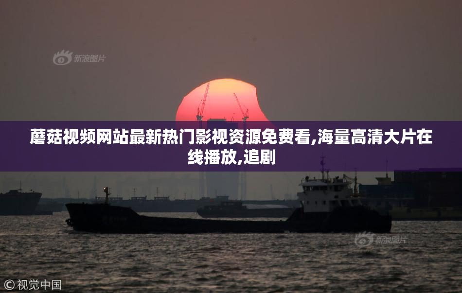 蘑菇视频网站最新热门影视资源免费看,海量高清大片在线播放,追剧