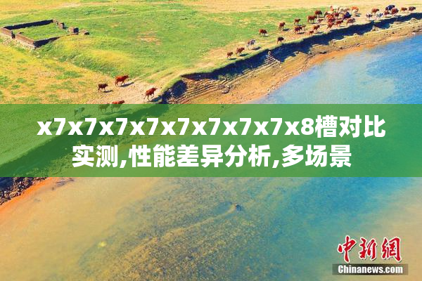 x7x7x7x7x7x7x7x7x8槽对比实测,性能差异分析,多场景