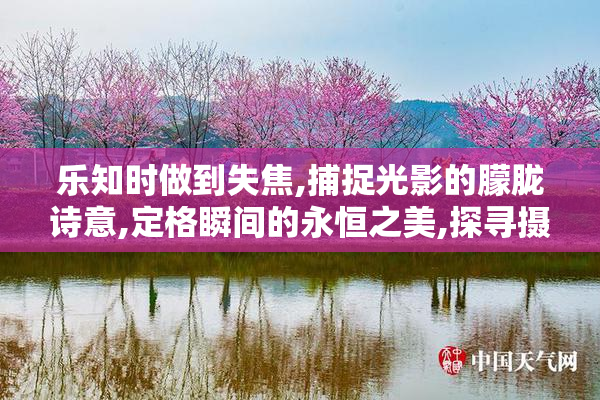 乐知时做到失焦,捕捉光影的朦胧诗意,定格瞬间的永恒之美,探寻摄影