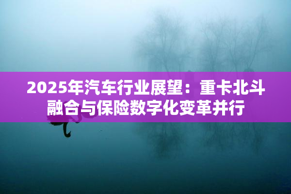 2025年汽车行业展望：重卡北斗融合与保险数字化变革并行