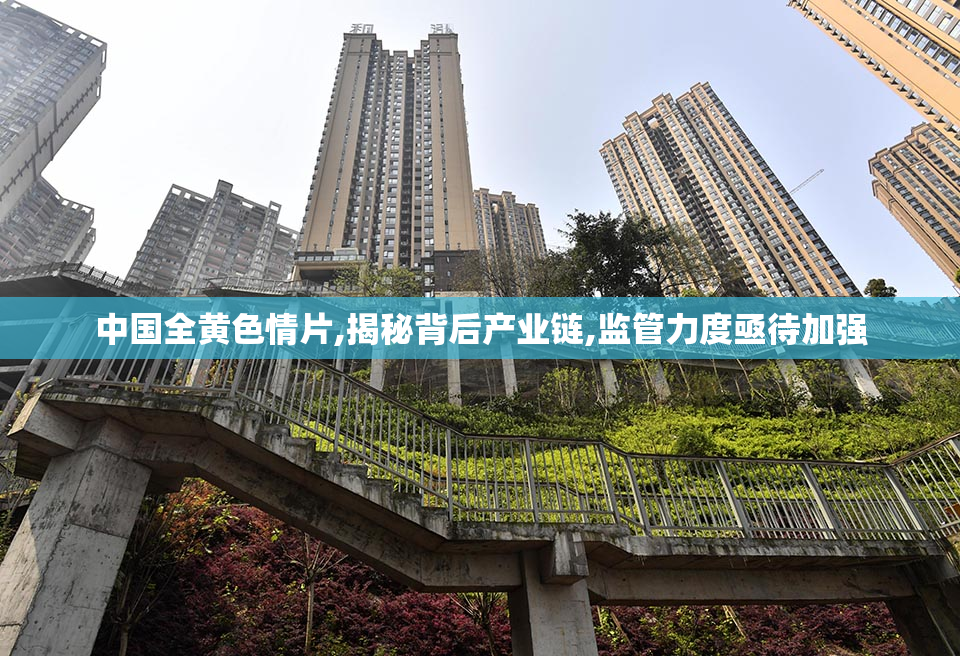 中国全黄色情片,揭秘背后产业链,监管力度亟待加强