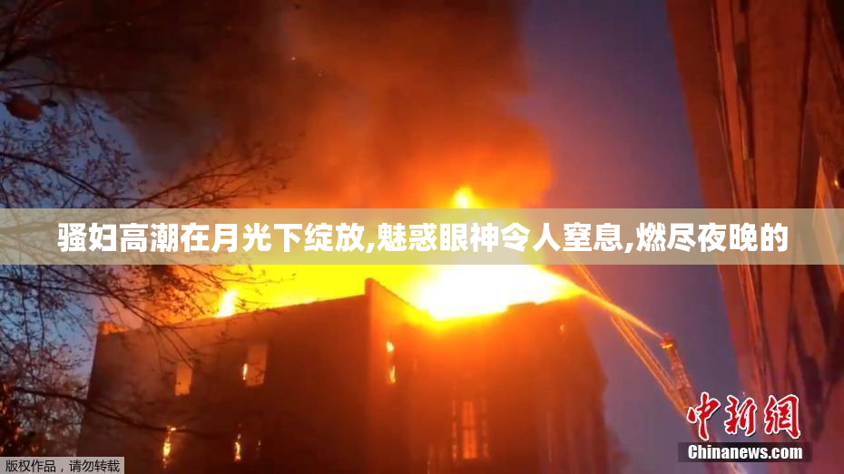 骚妇高潮在月光下绽放,魅惑眼神令人窒息,燃尽夜晚的