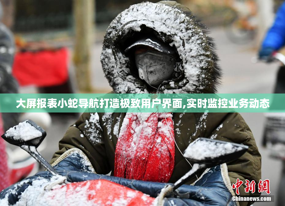 大屏报表小蛇导航打造极致用户界面,实时监控业务动态
