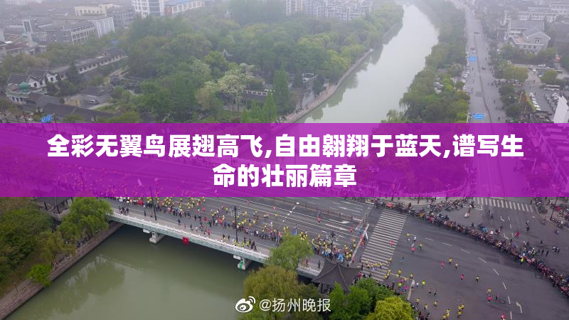 全彩无翼鸟展翅高飞,自由翱翔于蓝天,谱写生命的壮丽篇章
