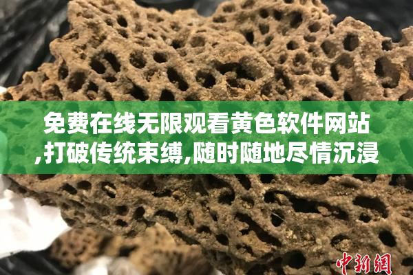 免费在线无限观看黄色软件网站,打破传统束缚,随时随地尽情沉浸
