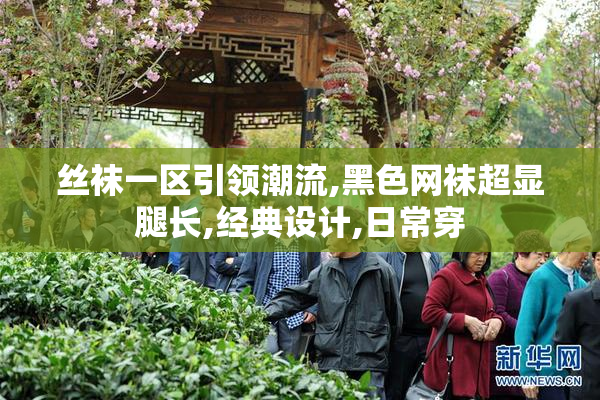 丝袜一区引领潮流,黑色网袜超显腿长,经典设计,日常穿