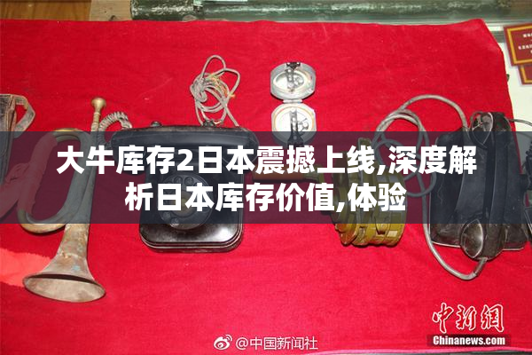 大牛库存2日本震撼上线,深度解析日本库存价值,体验