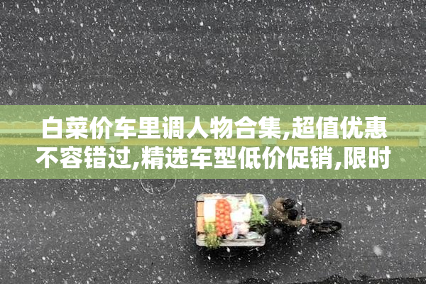 白菜价车里调人物合集,超值优惠不容错过,精选车型低价促销,限时