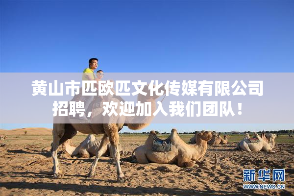 黄山市匹欧匹文化传媒有限公司招聘，欢迎加入我们团队！