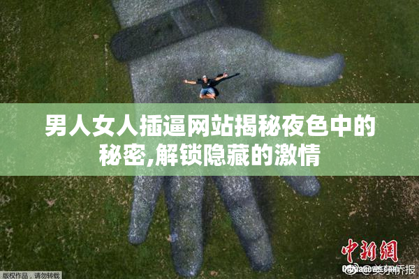 男人女人插逼网站揭秘夜色中的秘密,解锁隐藏的激情