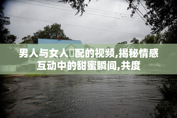 男人与女人恔配的视频,揭秘情感互动中的甜蜜瞬间,共度
