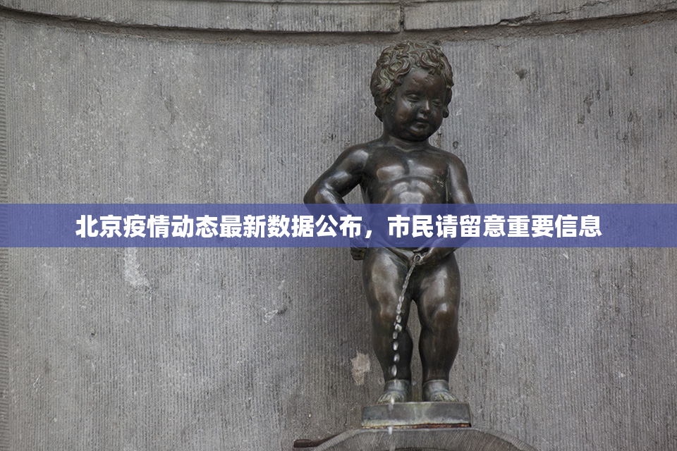 北京疫情动态最新数据公布，市民请留意重要信息