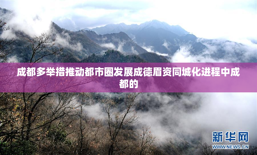 成都多举措推动都市圈发展成德眉资同城化进程中成都的