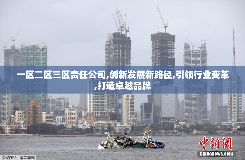 一区二区三区责任公司,创新发展新路径,引领行业变革,打造卓越品牌