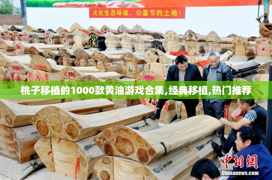 桃子移植的1000款黄油游戏合集,经典移植,热门推荐