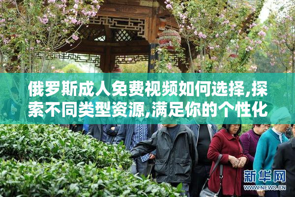 俄罗斯成人免费视频如何选择,探索不同类型资源,满足你的个性化