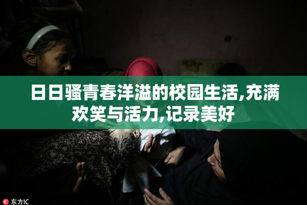 日日骚青春洋溢的校园生活,充满欢笑与活力,记录美好