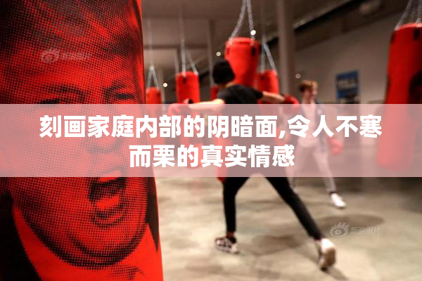 刻画家庭内部的阴暗面,令人不寒而栗的真实情感