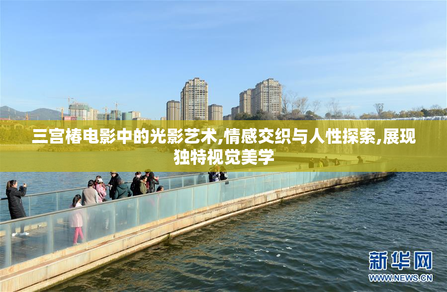 三宫椿电影中的光影艺术,情感交织与人性探索,展现独特视觉美学