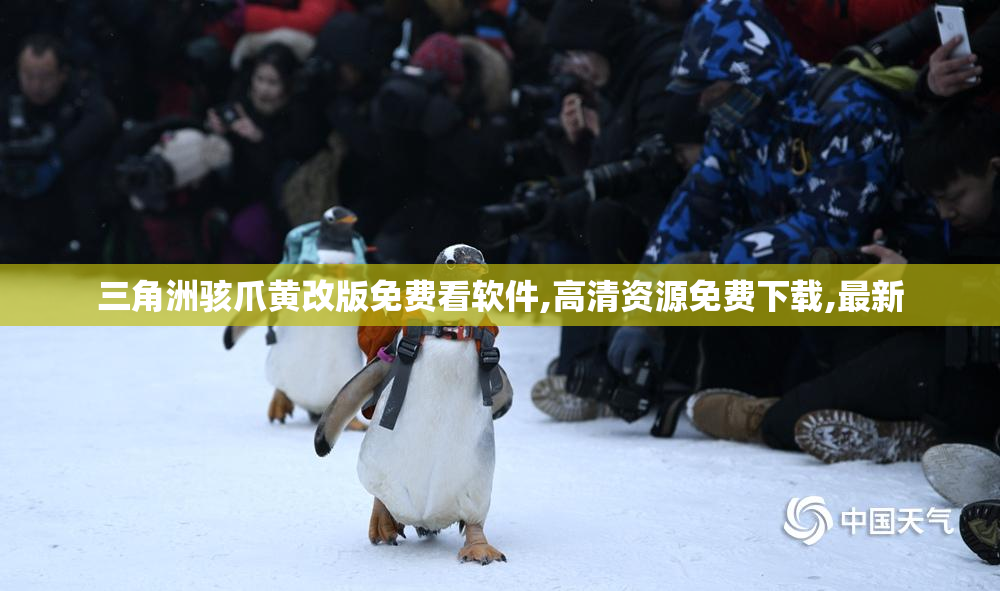 三角洲骇爪黄改版免费看软件,高清资源免费下载,最新