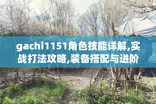 gachi1151角色技能详解,实战打法攻略,装备搭配与进阶