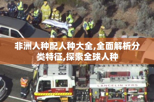 非洲人种配人种大全,全面解析分类特征,探索全球人种