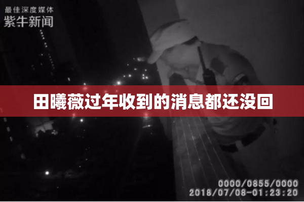 田曦薇过年收到的消息都还没回