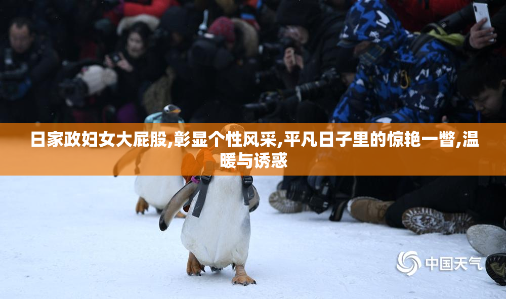 日家政妇女大屁股,彰显个性风采,平凡日子里的惊艳一瞥,温暖与诱惑
