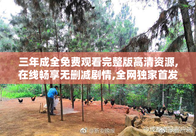 三年成全免费观看完整版高清资源,在线畅享无删减剧情,全网独家首发
