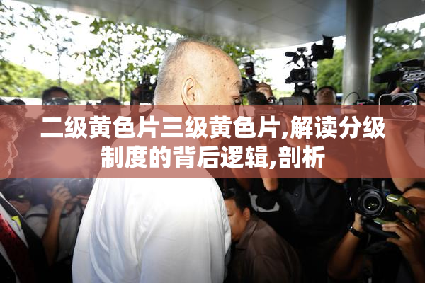 二级黄色片三级黄色片,解读分级制度的背后逻辑,剖析