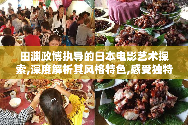 田渊政博执导的日本电影艺术探索,深度解析其风格特色,感受独特