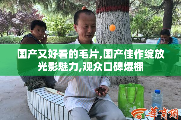 国产又好看的毛片,国产佳作绽放光影魅力,观众口碑爆棚