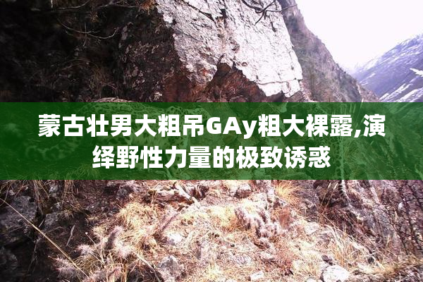 蒙古壮男大粗吊GAy粗大裸露,演绎野性力量的极致诱惑