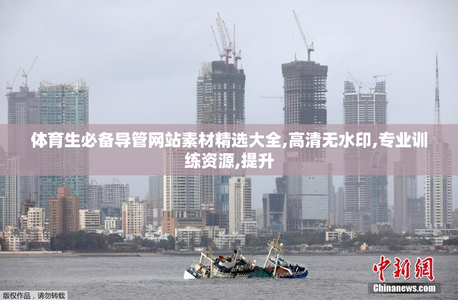 体育生必备导管网站素材精选大全,高清无水印,专业训练资源,提升