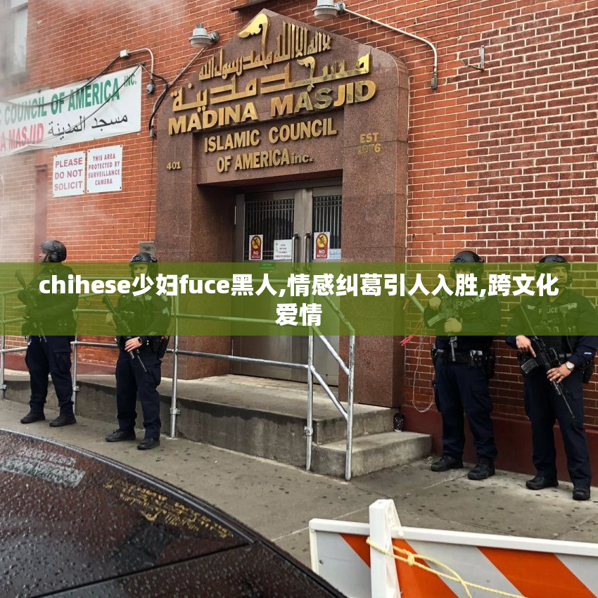chihese少妇fuce黑人,情感纠葛引人入胜,跨文化爱情