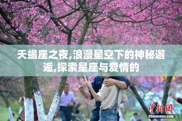 天蝎座之夜,浪漫星空下的神秘邂逅,探索星座与爱情的