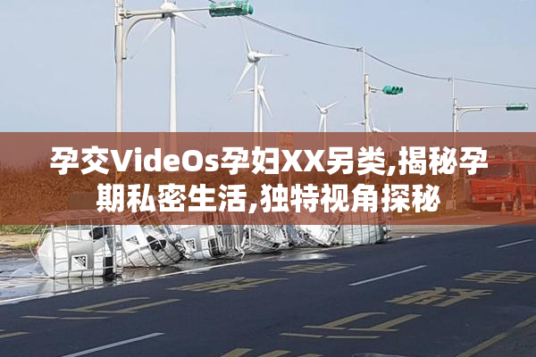 孕交VideOs孕妇XX另类,揭秘孕期私密生活,独特视角探秘