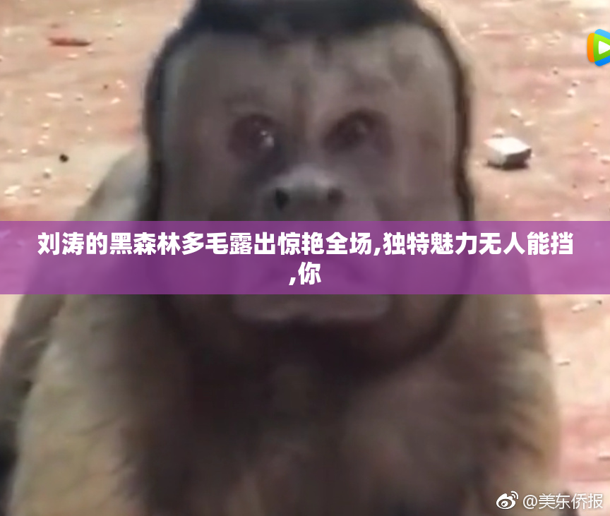 刘涛的黑森林多毛露出惊艳全场,独特魅力无人能挡,你