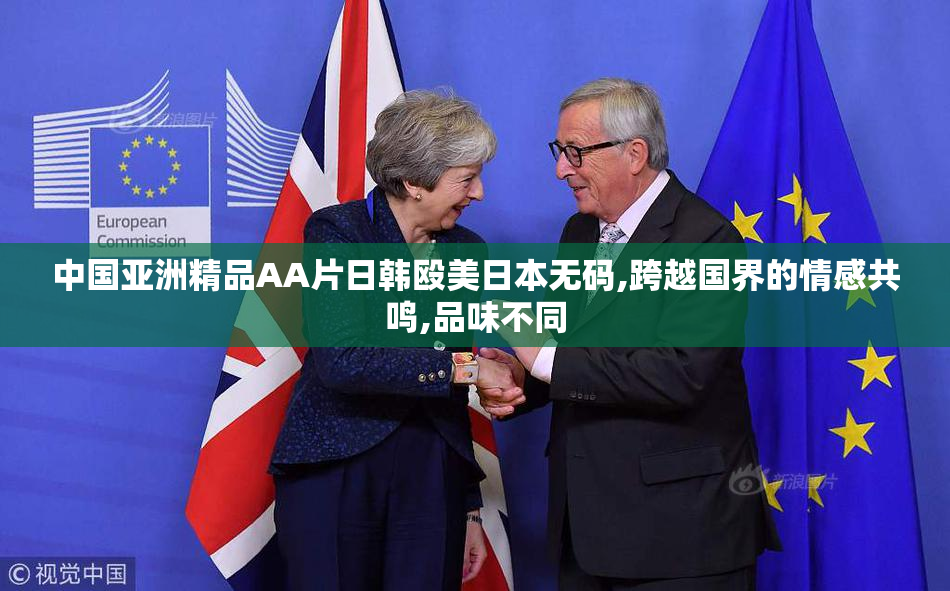 中国亚洲精品AA片日韩殴美日本无码,跨越国界的情感共鸣,品味不同