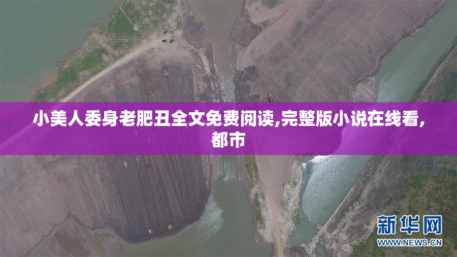 小美人委身老肥丑全文免费阅读,完整版小说在线看,都市